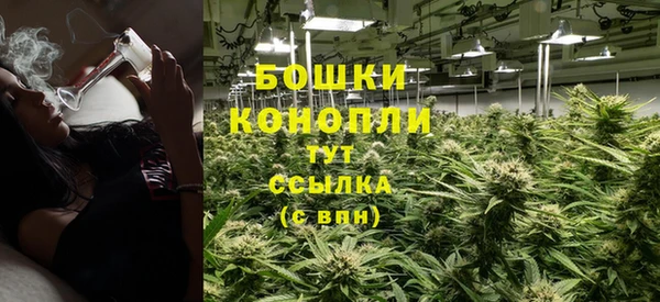 ПСИЛОЦИБИНОВЫЕ ГРИБЫ Заволжск