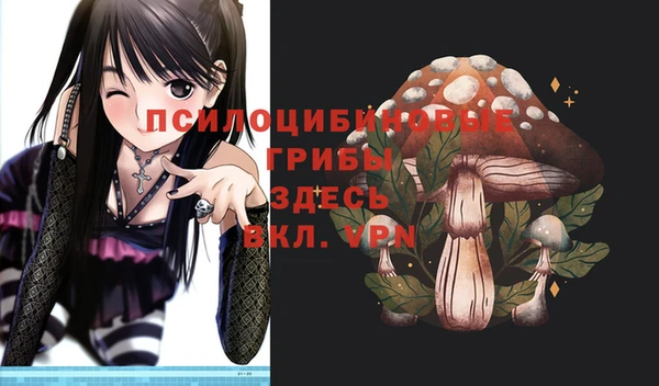 спиды Заводоуковск